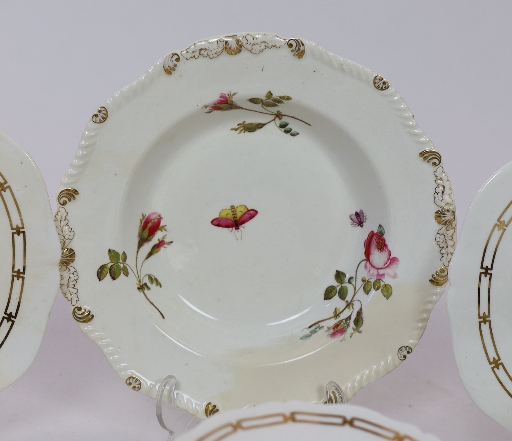 A rare Rockingham botanical specimen part breakfast service, griffin statant mark, c.1826, with some matching pieces, c.1830-5